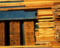 Необработанные лесоматериалы занимают 47% русского базара лесных продуктов