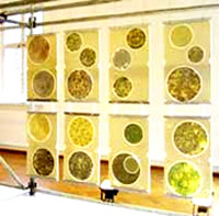 Новейший прозрачный мультислойный полимерный стройматериал