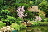 Какие плодоносящие деревья высадить на участке?