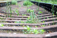 На Южно-Уральской магистрали начался ремонт пути. За лето железнодорожники обновят около 1,2 тыс. км