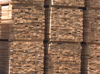 В 2002-2007 гг. денежная выручка от экспорта листовых лесоматериалов возросла в 2,3 один раз