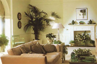 Как верно расставить цветочки, чтоб преобразить интерьер?