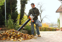 Избираем лучшую модель садового пылесоса