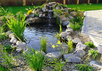 Маленькой садовый пруд для малыша