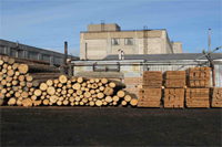 В Мордовии возросло создание железных изделий и пиломатериалов