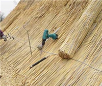 Тростниковые кровли: солидно и удобно