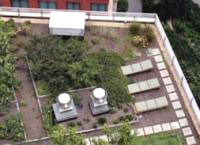 За зеленоватые кровли в Нью-Йорке будут выплачивать