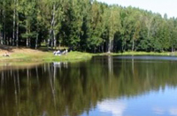 В Петербурге захватывают озера