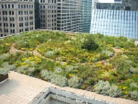 Власти южноамериканских городов стимулируют стройку зеленоватых жилищ