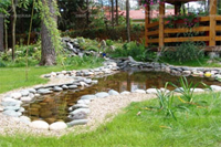 Разные облики водоемов на участке