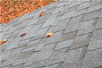 Выбор: битумная либо железная кровля?