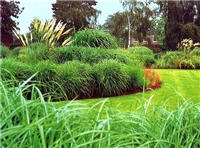 Планировка и благоустройство участка