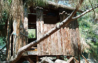 Кемеровчанин выстроил древесный дом в облике летучего корабля