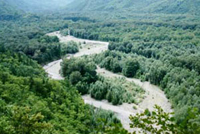 Приморье: стройматериалы подорожали на 8,5%