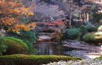 Японский трибунал в первый раз воспретил стройку, тот или иной могло попортить пейзаж