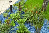 Озеленение пригородного участка