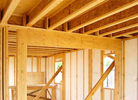 Необыкновенности деревянно-каркасной технологии постройки жилья