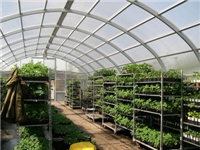 Огороды под стеклянными крышами