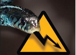 Электричество и электробезопасность: ликбез для начинающих электриков