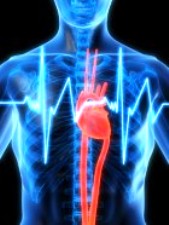 деянье тока на человеческий организм