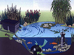 Оснащение для водоемов