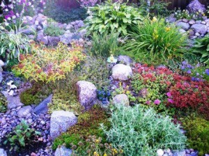 Альпийская горка в саду