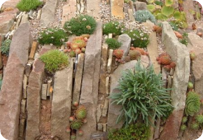 Рокарий родными руками