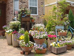 Расстановка вазонов Расстановка вазонов